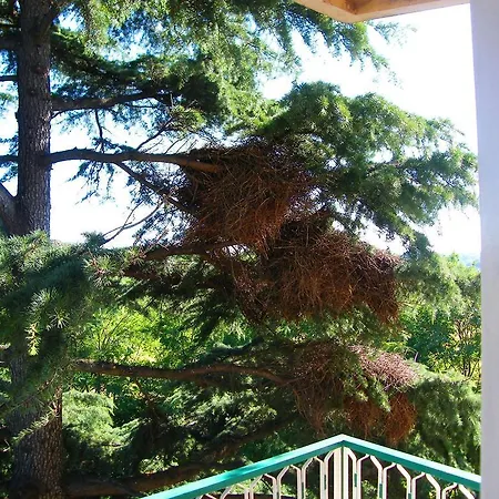 In Green * Rome
