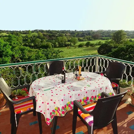 Apartamento In Green
